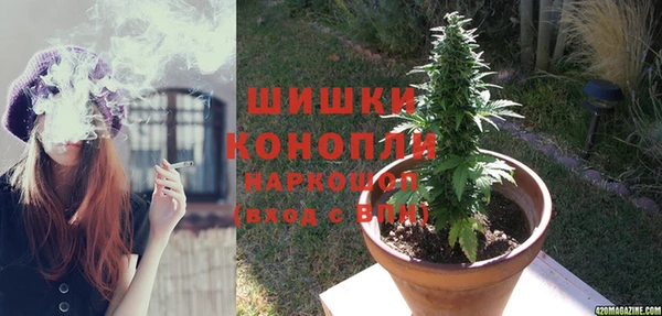 прущие грибы Козловка