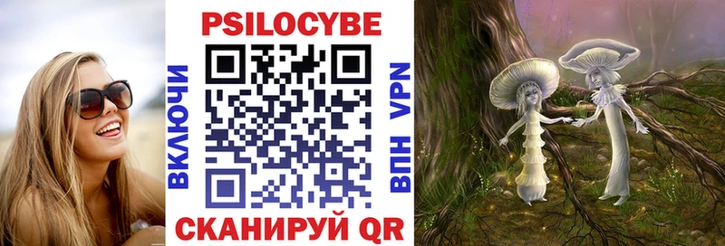 Псилоцибиновые грибы MAGIC MUSHROOMS  купить  цена  blacksprut ссылки  Искитим 