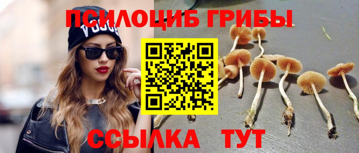Псилоцибиновые грибы мухоморы Искитим